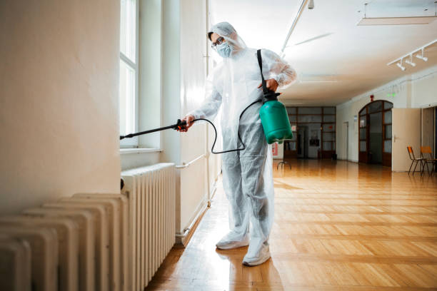 Best Real Estate Pest Inspections  in Redding, CA